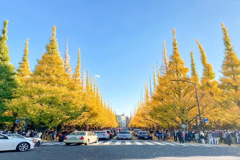 Meiji Jingu Gaien