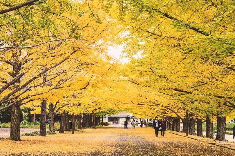 Meiji Jingu Gaien