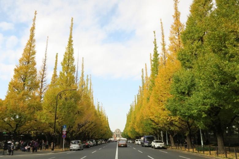 Meiji Jingu Gaien