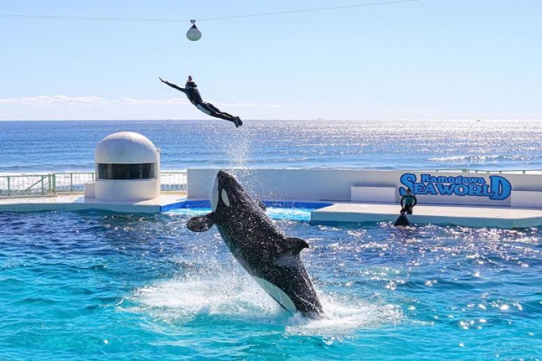 Kamogawa Sea World