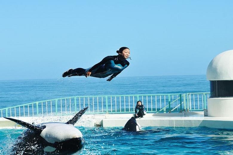 Kamogawa Sea World