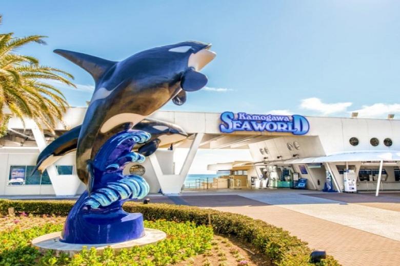 Kamogawa Sea World