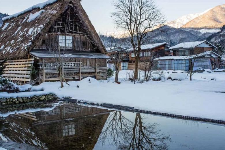 Làng cổ Shirakawago