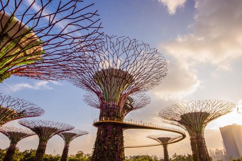 Gardens By The Bay