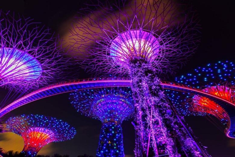 Gardens By The Bay
