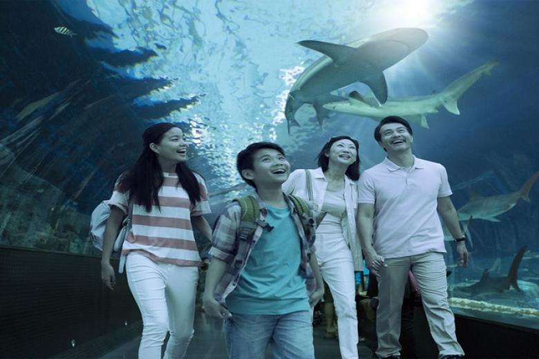 Thuỷ Cung Lớn Nhất Thế Giới -  S.E.A Aquarium