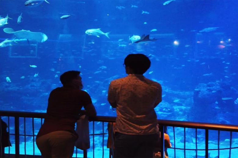 Thuỷ Cung Lớn Nhất Thế Giới -  S.E.A Aquarium