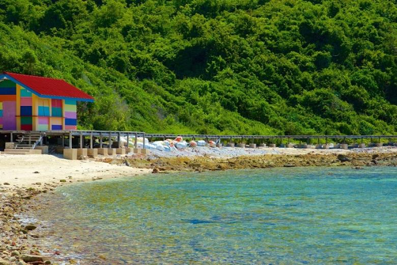 Đảo Coral