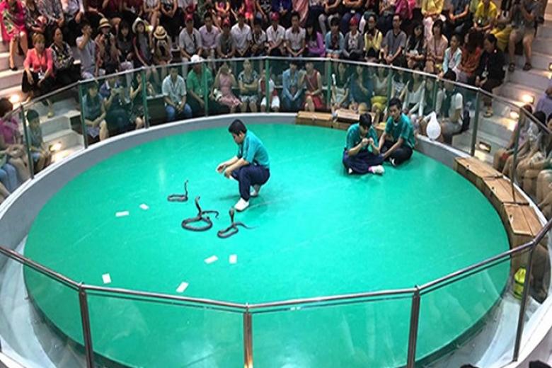 Viện nghiên cứu Hoàng Gia Snake Farm
