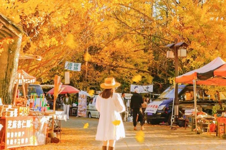 Tour Trung Quốc 5N4Đ: Đà Nẵng - Hà Nội - Hà Khẩu - Côn Minh - Đằng Xung - Làng Ngân Hạnh - Công Viên Bắc Hải - Hoà Thuận Cổ Trấn, Xe Ô tô + tàu cao tố