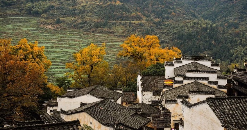 Hoàng Lĩnh cổ thôn