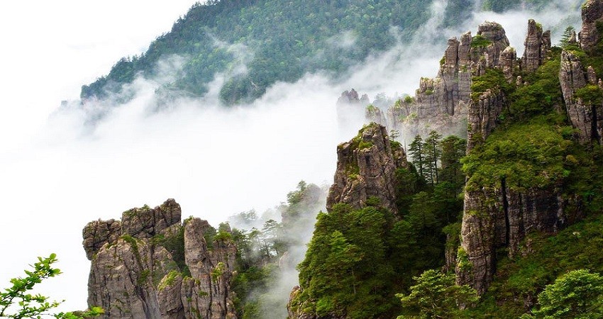 Thần Nông Giá Thần Nông Giá