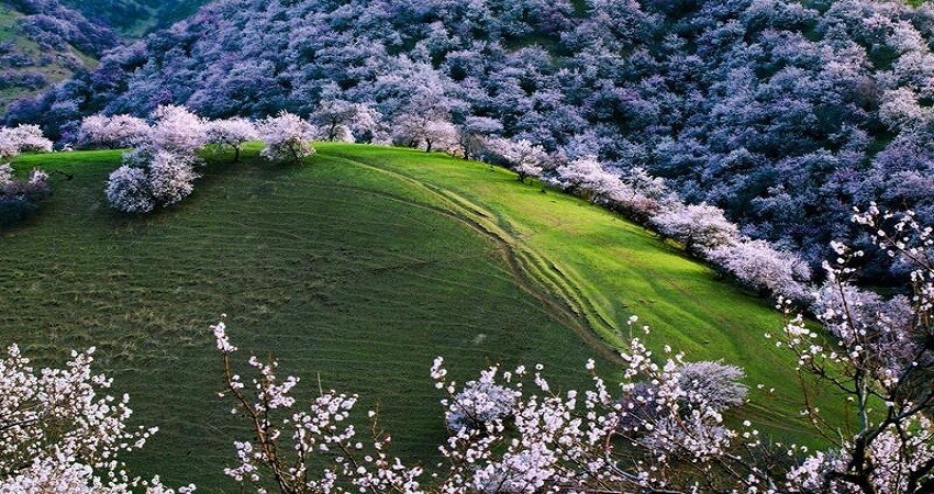 Khách trải nghiệm