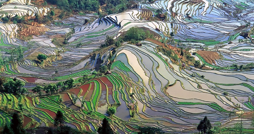 Khách trải nghiệm