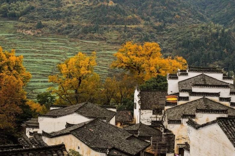 Hoàng Lĩnh cổ thôn