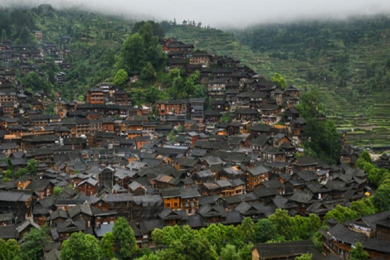 Miêu Trại