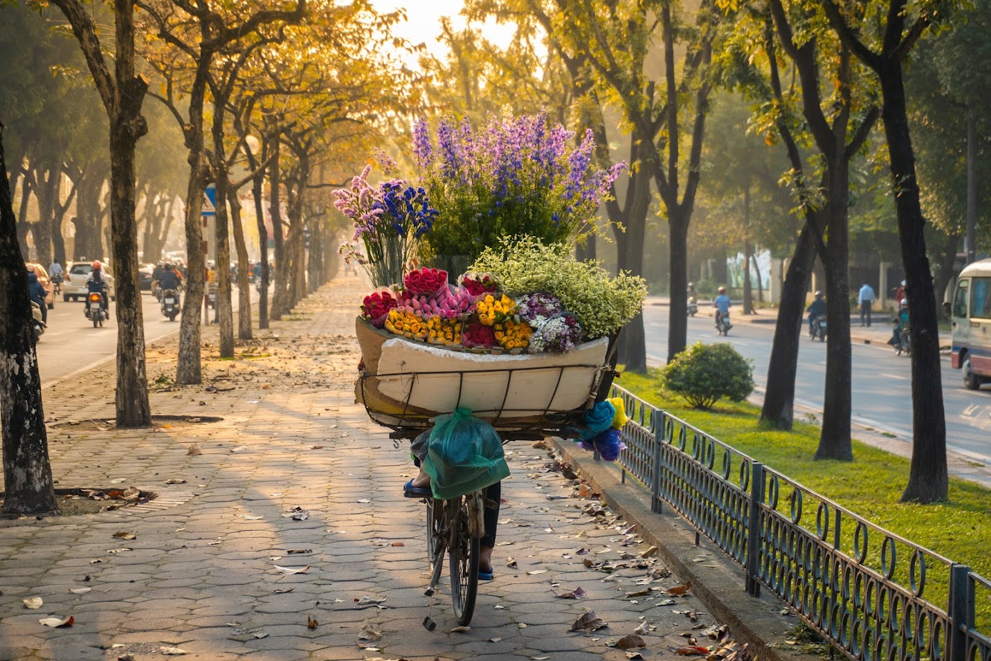 Mùa thu Hà Nội với ánh nắng dịu nhẹ len lỏi qua những rặng cây, tạo nên bức ảnh đẹp nao lòng