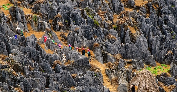 Cao nguyên Đồng Văn, tour du lịch miền Bắc