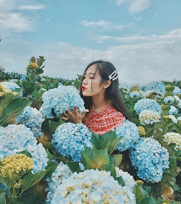 Làng hoa Vạn Thành, tour du lịch Đà Lạt
