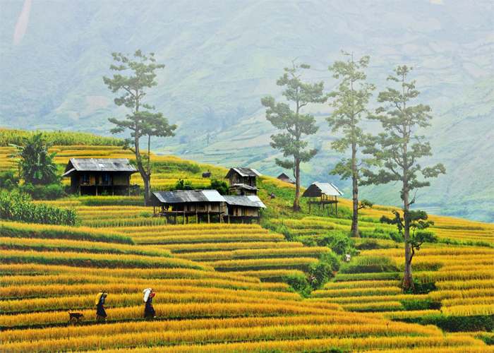 Tour Du Lịch Sơn La | Du Lịch Việt Nam