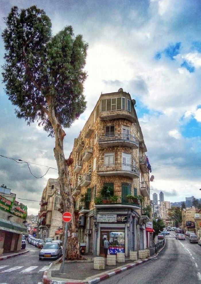 Thành phố Haifa, tour du lịch Israel