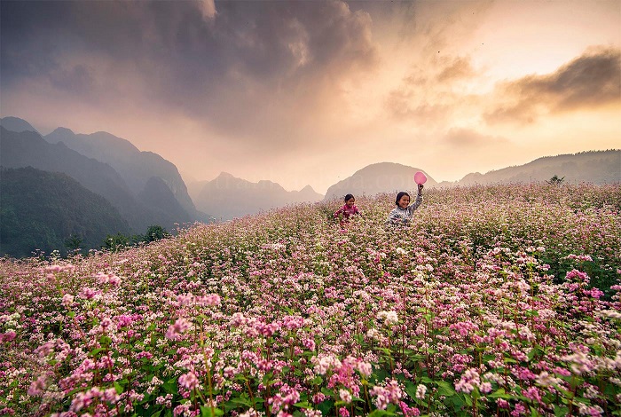 Vẻ đẹp của miền Bắc trong tour du lịch miền Bắc