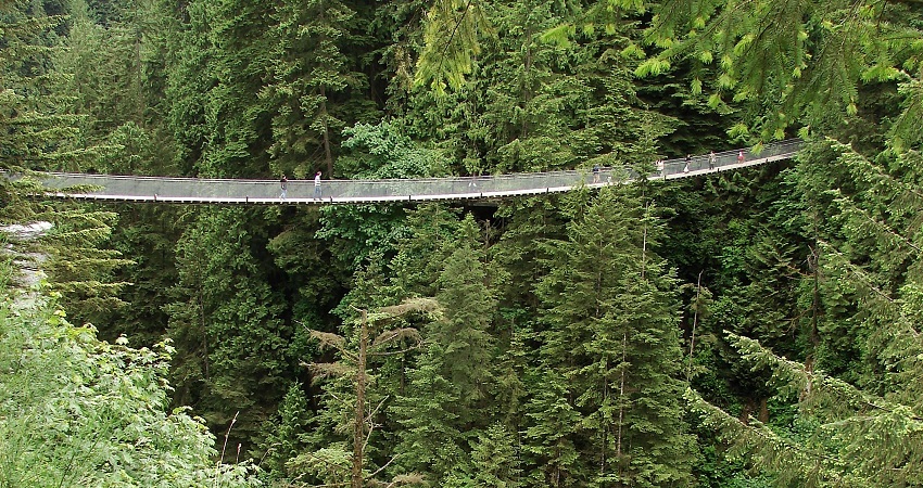 Cây cầu treo Capilano Suspension Bridge