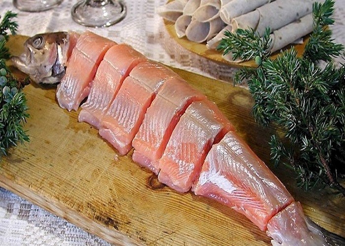 Rakfish (Cá thối)