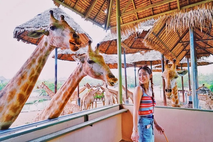 Thăm vườn thú trong tour du lịch Thái Lan