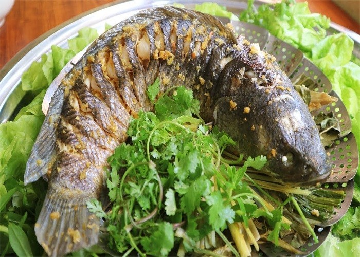 Cá trắm sông Son