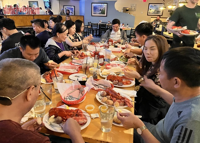 Thưởng thức tôm hùm Mỹ 