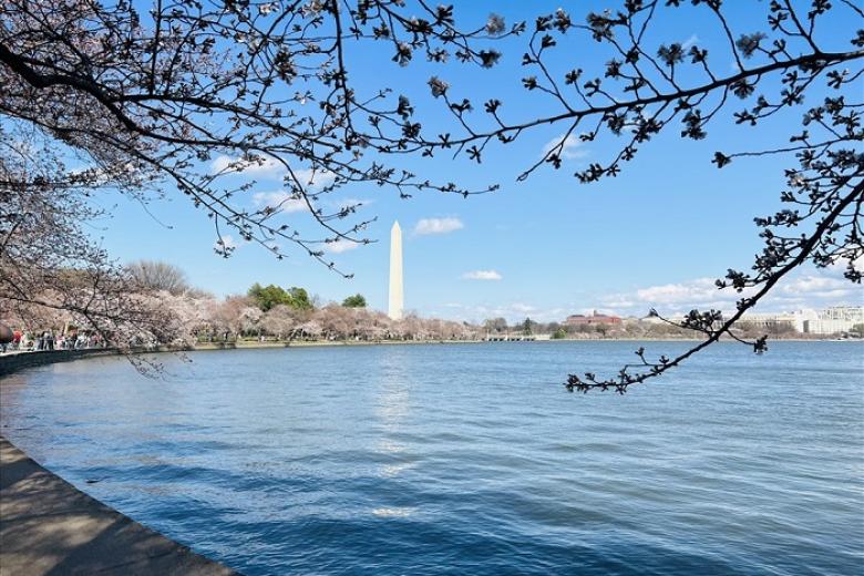 Hồ Tidal Basin