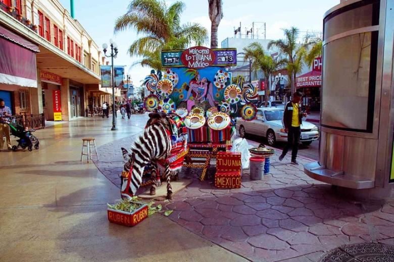 Thành phố Tijuana (Mexico)