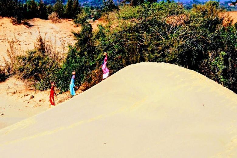 Đồi Cát Nam Cương