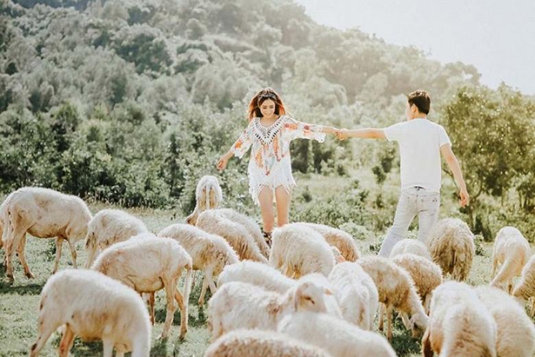 Đồng Cừu An Hòa