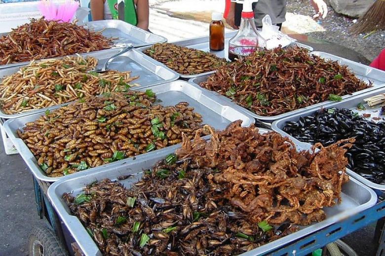 Chợ Côn Trùng