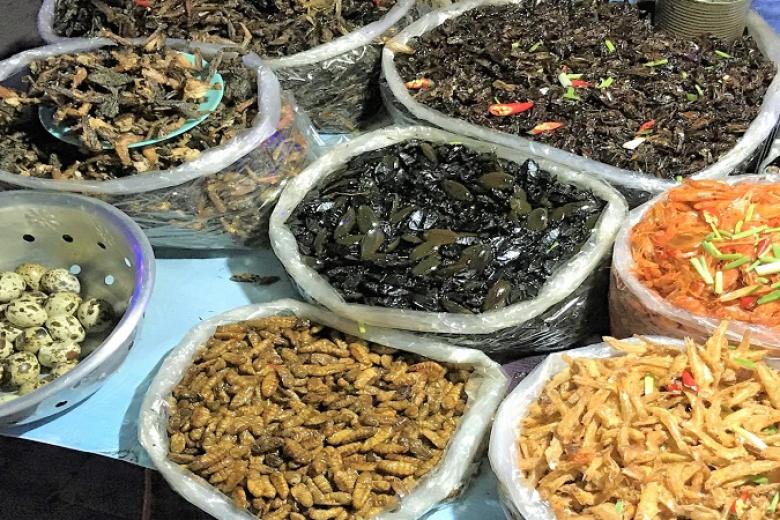 Chợ Côn Trùng