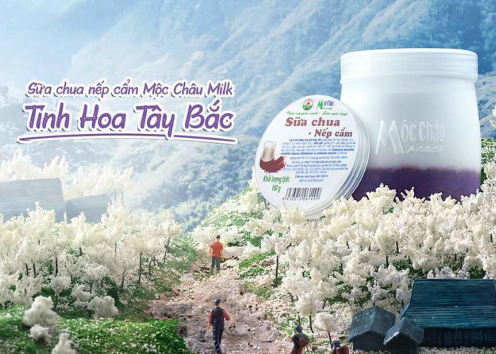 Đừng quên thưởng thức món sữa chua nếp cẩm khi đi tour du lịch Mộc Châu