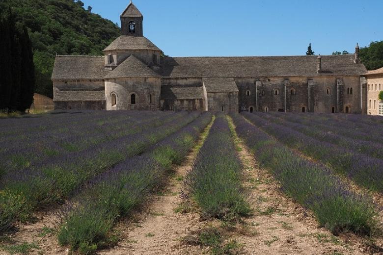 Tu viện cổ L’Abbey de Senanque