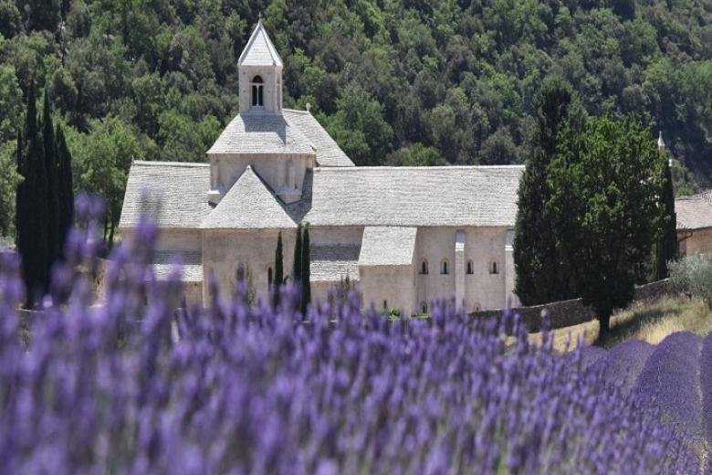 Tu viện cổ L’Abbey de Senanque
