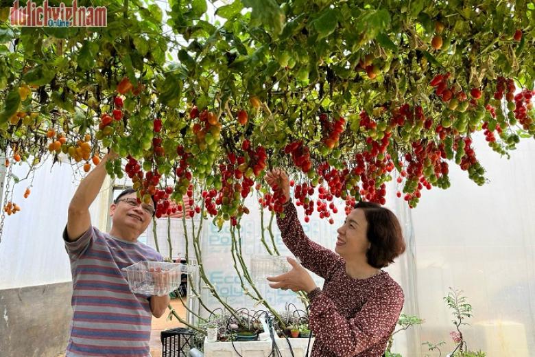 Khách chụp ảnh lưu niệm