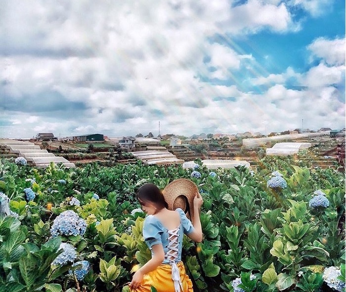 Khám phá vẻ đẹp Đà Lạt khi đi tour du lịch Đà Lạt