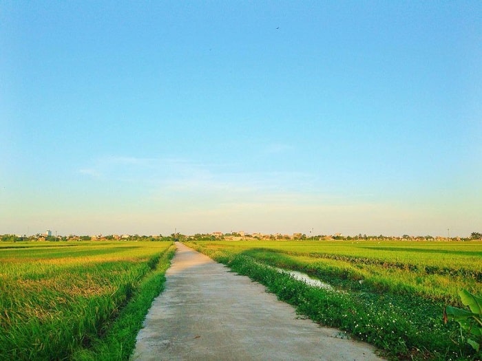 Thái Bình được mệnh danh là vựa lúa của miền Bắc với những cánh đồng bát ngát thẳng cánh cò bay