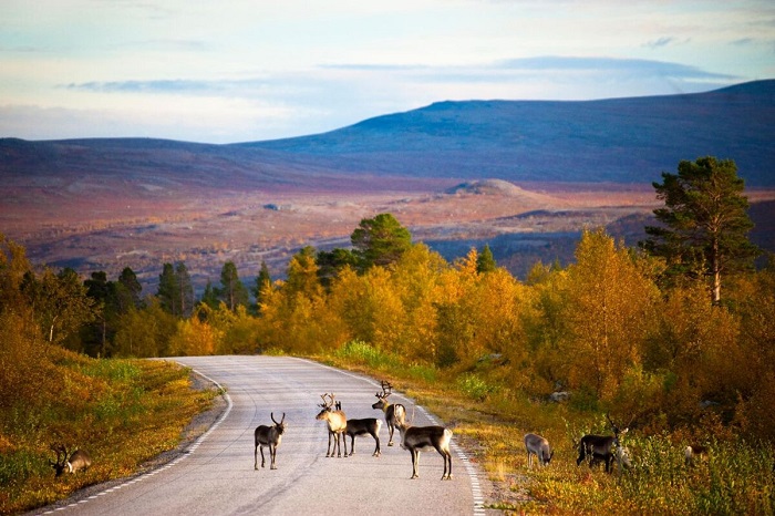 Lapland, Phần Lan