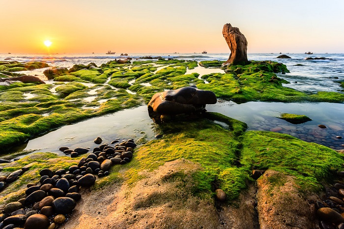 Bãi biển Cổ Thạch, Bình Thuận có thật tuyệt đẹp 'như lời đồn'?