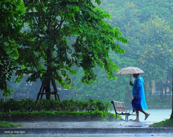 Hà Nội mùa mưa.