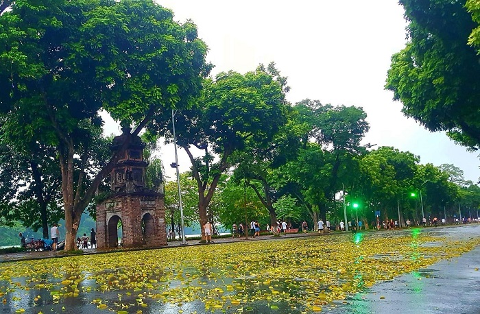 Hà Nội những ngày cuối năm thường có mưa rét nhưng cảnh vật cũng không kém phần lãng mạn.