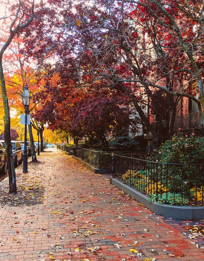 Boston mùa thu