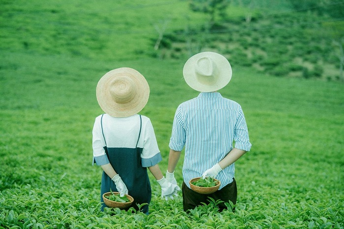 het dich minh di Da Lat anh nhe 14