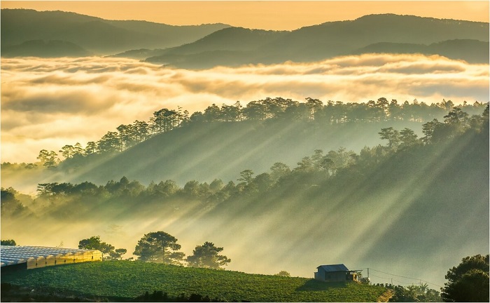 het dich minh di Da Lat anh nhe 4